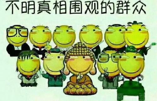 绯绯吃瓜群众爆料,娱乐圈最新猛料大揭秘！