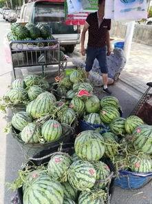 西宁网红吃瓜事件,一场网络舆论的风暴与反思